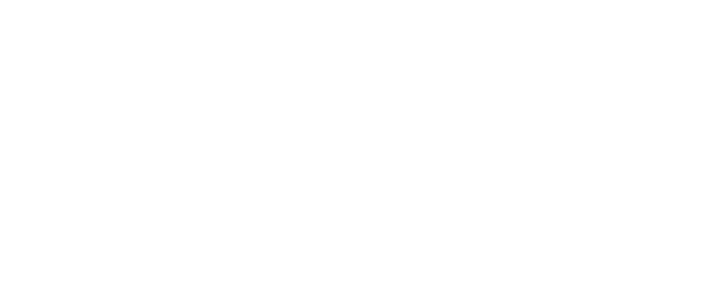 ameya logo white